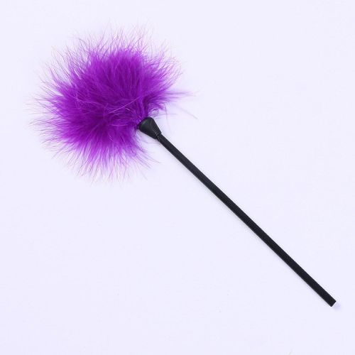 Supplies Feather Brush Stick Toys
